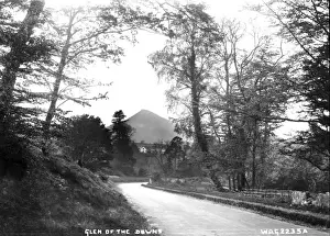 Early 20th Century Irish Art Prints: Glen of the Downs