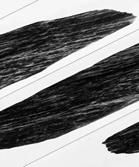 White Background Geology Images Prints: Gneiss