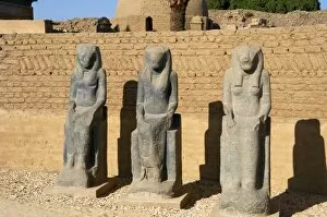 Images Dated 25th November 2003: Goddess Sekhmet statues. Egypt