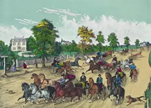 Horse Riding Pictures Prints: Going to the trot