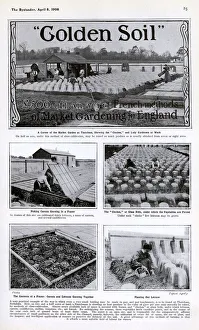 Golden Soil: French methods of Market Gardening for England Golden Soil: French methods of Market Gardening for England
