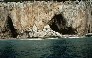 Homo Neanderthalensis Fossils Prints: Gorhams Cave, Gibraltar