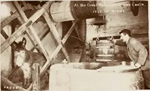 Prints of The Great Well at Carisbrooke Castle, Isle of Wight, powered by a donkey in a wheel Isle Of Wight Prints: The Great Well at Carisbrooke Castle Print - Isle of Wight