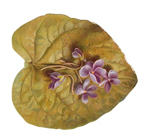 Greetings card in the shape of a leaf with purple flowers Greetings card in the shape of a leaf with purple flowers