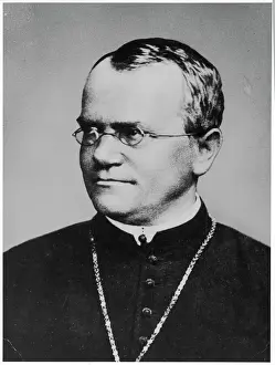 Prints of GREGOR JOHANN MENDEL Austrian botanist Austria Prints: Gregor Mendel Print - Austrian Botanist Portrait