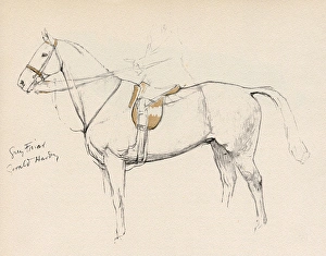 Grey Friar, horse belonging to Mr Gerald Hardy Grey Friar, horse belonging to Mr Gerald Hardy