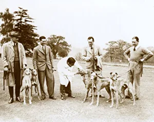 Greyhound Derby entries with vet, Northaw, Hertfordshire Greyhound Derby entries with vet, Northaw, Hertfordshire