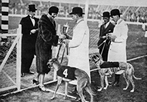 Greyhound racing at White City, 1927 Greyhound racing at White City, 1927