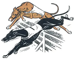 Dog Racing Prints: Greyhounds over Hurdles Print, 19th Century Racing Scene