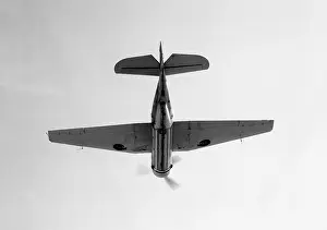 Royal Navy Aircraft Prints: Grumman Tarpon