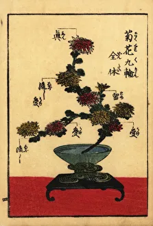 Guide to the vocabulary of Japanese flower arranging Guide to the vocabulary of Japanese flower arranging