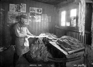 Early 20th Century Ireland Prints: Hackling Flax