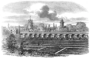Hackney Station and watercress plantation Hackney Station and watercress plantation