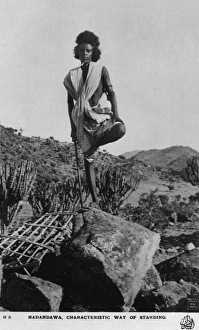 Hadendoa Man - Standing on one leg Hadendoa Man - Standing on one leg