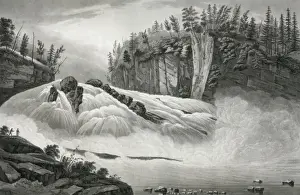 Evergreen Trees Prints: Hadleys falls