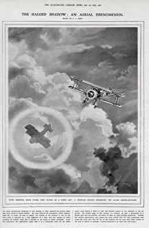 The haloed shadow: an aerial phenomenon The haloed shadow: an aerial phenomenon