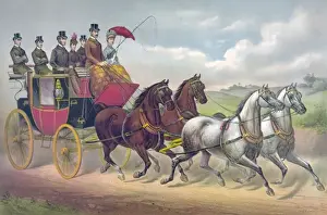 Horse Drawn Carriages History Prints: Four in hand