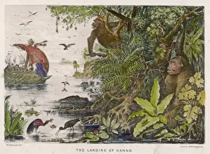 West African Coast Prints: Hanno / Exploration