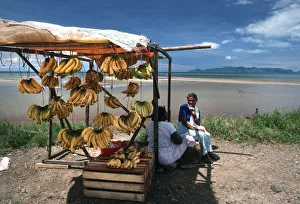 Happy banana sellers on a fruit stall on Viti Levu, Fiji Happy banana sellers on a fruit stall on Viti Levu, Fiji