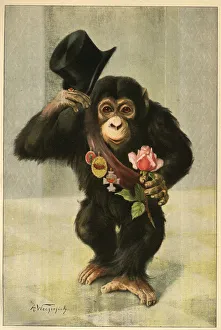 Happy New Year - Chimpanzee with top hat and rose Happy New Year - Chimpanzee with top hat and rose