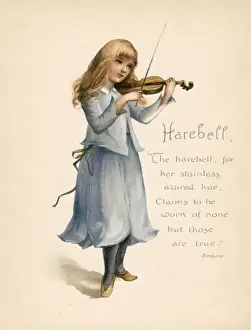 Harebell / Language of Flowers Print - Personification