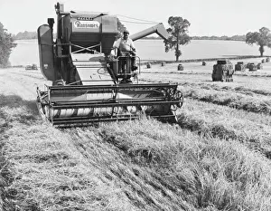 Harvesting Barley with Ransome Combine Harvester Print