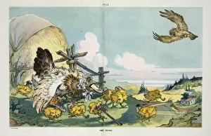 Early 20th Century Cartoons Online Prints: The hawk
