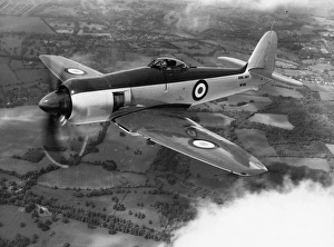 Hawker Sea Fury FB11 WF619