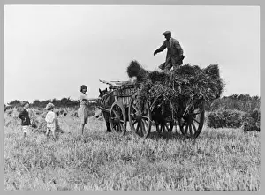 Farming Scene Prints: The Hay Wagon (Pugh)