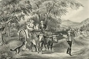 Vintage Farm Life Prints: Haying-time the last load