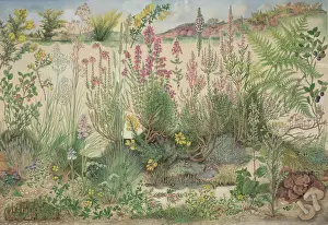 Prints of Original artwork for Heathland by Barbara Nicholson, signed B.E.N. copyright British Museum (Natural History) 1973, printed in England by Lund Humphries British Museum Prints: Heathland Original Print by Barbara Nicholson, 1973