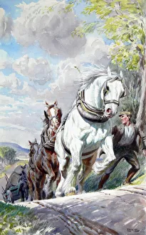 Heavy horses pull a Timber Wagon uphill Heavy horses pull a Timber Wagon uphill