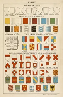 Heraldry Print: Composition of Coats of Arms