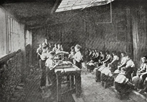 Hereford Industrial School Wood-chopping Hereford Industrial School Wood-chopping