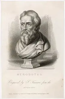 Antique Art Prints Online Prints: Herodotus / Freeman / Bust