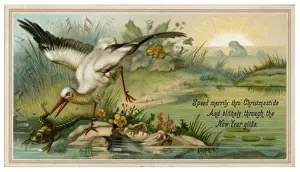 Historical Bird Art Prints: Heron and Frog