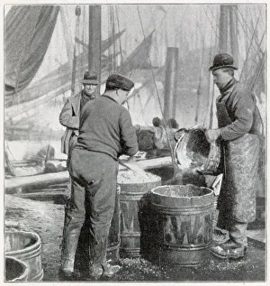 Herring Fishery on the East Coast 1902 Herring Fishery on the East Coast 1902