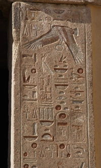 Hieroglyph on the walls of the Temple of Hatshepsut. At the Hieroglyph on the walls of the Temple of Hatshepsut. At the