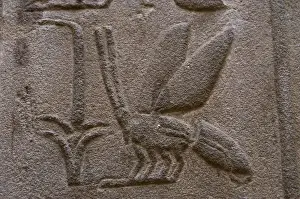 Hieroglyphic Writing Relief Print, Temple of Luxor, Egypt