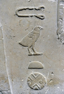 Hieroglyphic writing. Relief detail from the tomb of Princes Hieroglyphic writing. Relief detail from the tomb of Princes