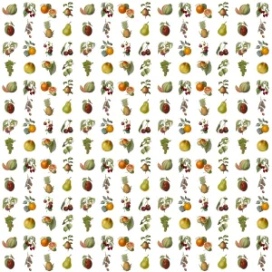 Assorted Fruit Repeating Pattern Print