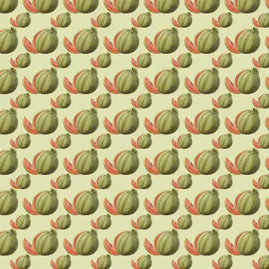 History Repeats Itself Prints: Watermelon Repeating Pattern Print