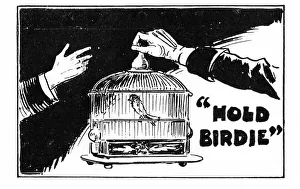 Hold Birdie, a farce, Duke of Yorks Theatre, London Hold Birdie, a farce, Duke of Yorks Theatre, London