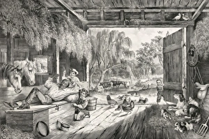 Holidays in the country. Troublesome flies Holidays in the country. Troublesome flies