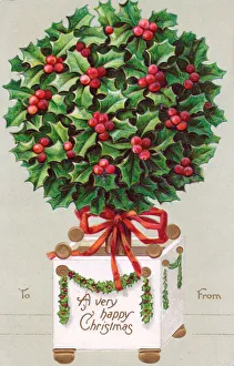 Holly tree in a square pot on a Christmas postcard Holly tree in a square pot on a Christmas postcard