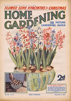 Home Gardening magazine, September 1932 Home Gardening magazine, September 1932