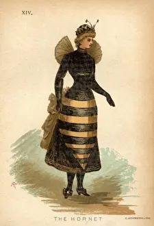 The Hornet Fancy Dress Costume Suggestion Print