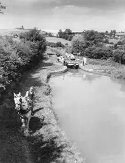 Prints of A horse on the tow path of the Oxford Canal at Napton, Warwickshire, England. It is pulling a narrow pleasure boat full of holidaying students. Date: early 1960s Warwickshire Prints: Horse-Drawn Narrow Boat Print, Oxford Canal, Napton