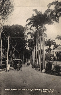 Horse Tram on Pine Road, Belloville, Barbados Horse Tram on Pine Road, Belloville, Barbados