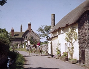 Horses by cottages at Bossington, Somerset Horses by cottages at Bossington, Somerset